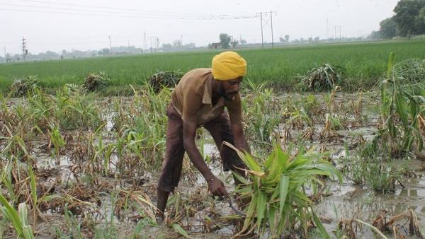 खुशखबरी: मोदी सरकार ने किसानों को दिया बड़ा तोहफा