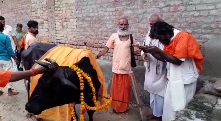 गौ पूजन करके विहिप नेताओं ने संतो को सम्मानित किया