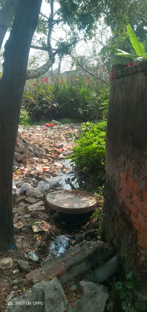 गंदगी की रोकथाम ना होने की वजह से मच्छरो की भरमार, बढ़ रहा है बीमारियों का खतरा