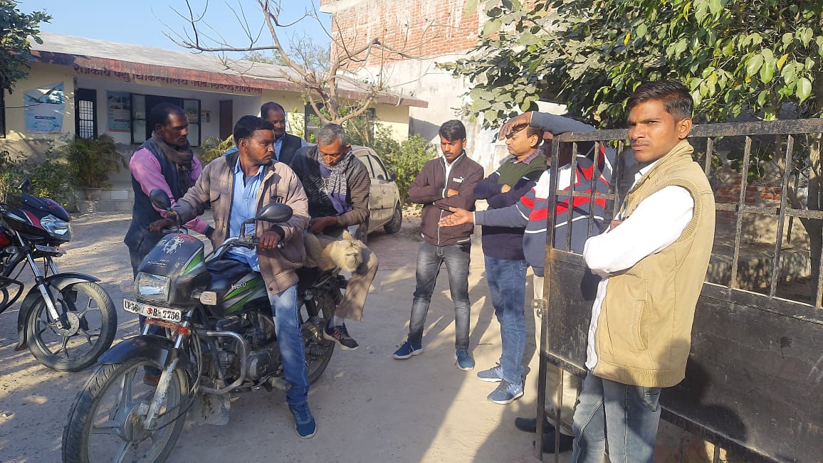 घायल लंगूर से पीछा छुड़ाता नजर आया पशुपालन और वन विभाग