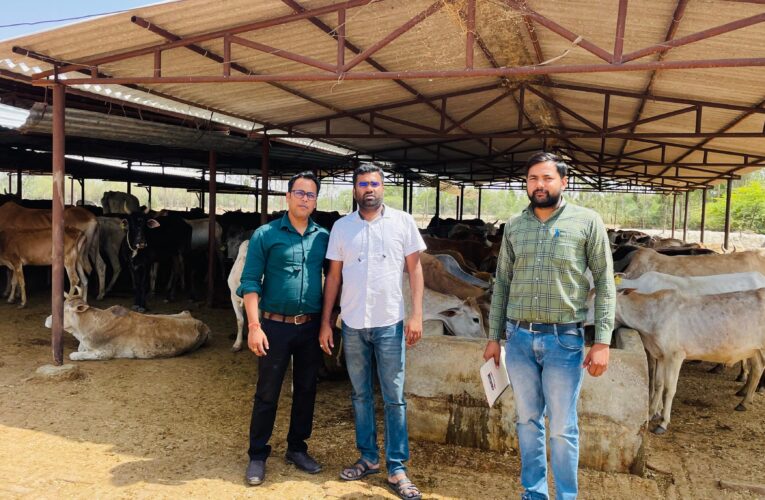 एडीओ पंचायत ने किया गौशाला का निरीक्षण, दिए सख्त निर्देश