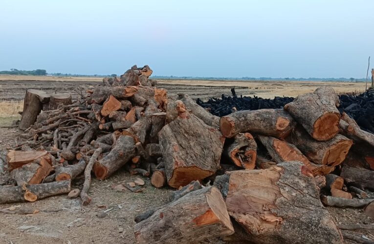 वायु प्रदूषण फैला रही कोयला भट्ठियां ! जिम्मेदार मौन