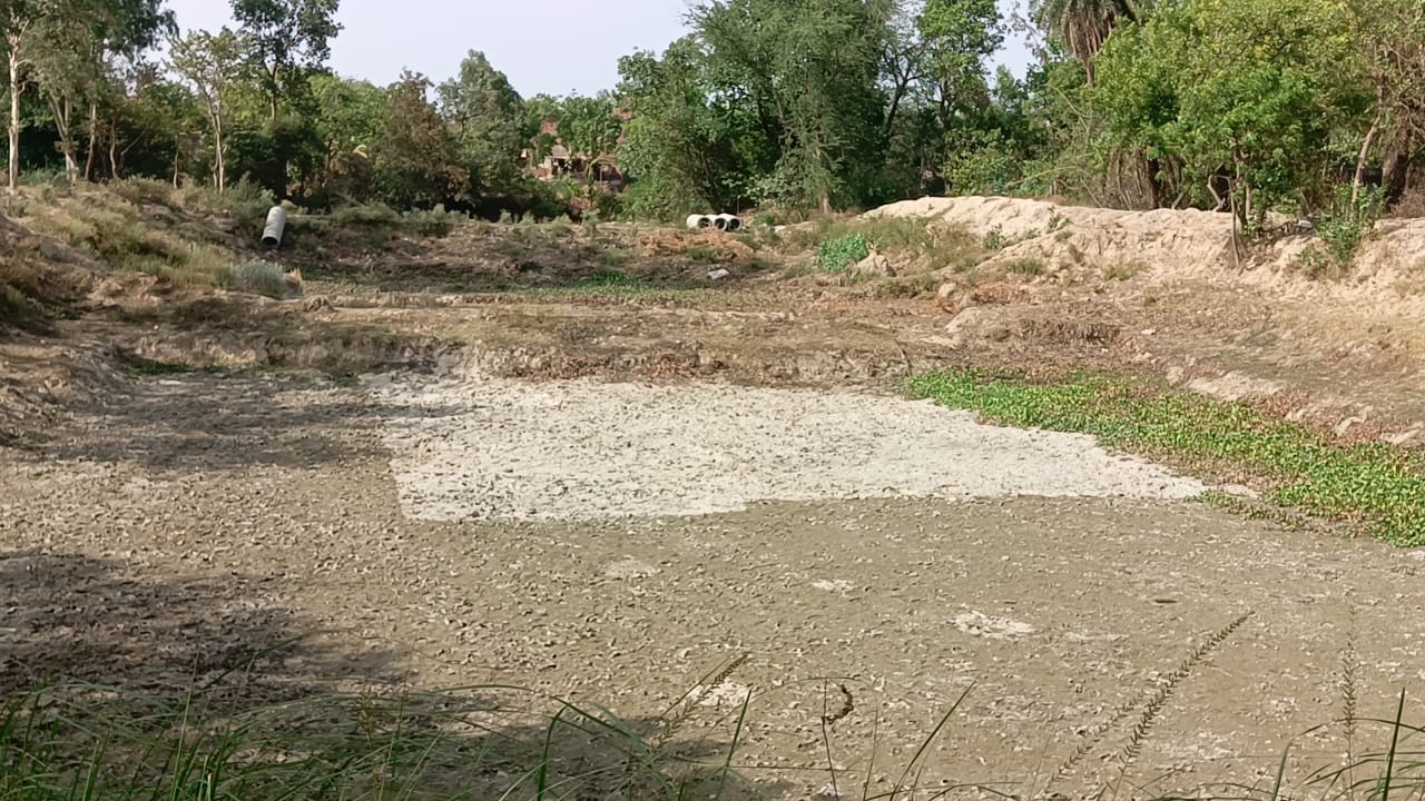 Dust flying instead of water in the pond! animals craving every drop of water
