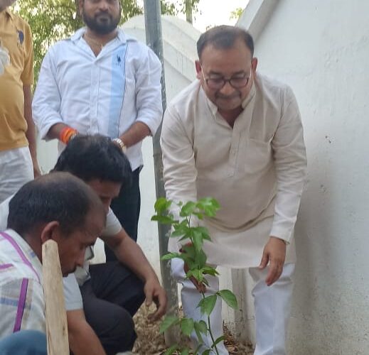 पर्यावरण को बचाना है तो पेड़ लगाना है एक पेड़ जरूर लगाए