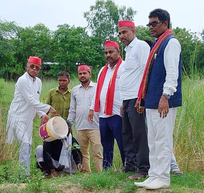 SP starts tree plantation campaign by planting trees