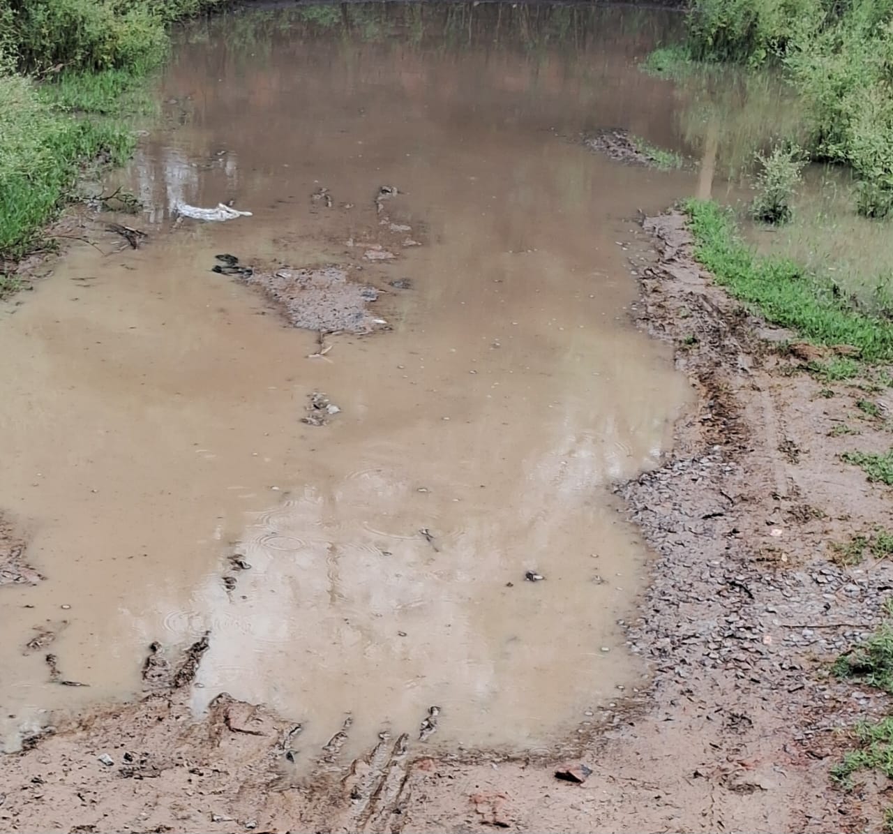 People troubled by waterlogging on the raw road of new colony of Guggaur