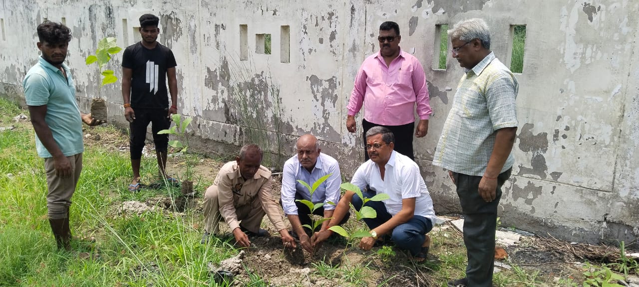 Tree plantation campaign started in Polytechnic College