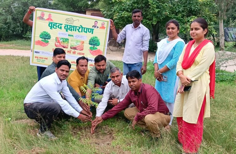 पर्यावरण सन्तुलन बनाए रखने के लिए करना होगा वृक्षारोपण : बीडीओ