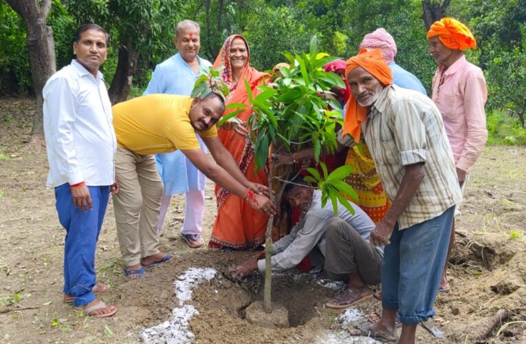 पर्यावरण संतुलन के लिए करना होगा वृक्षारोपण : नन्दकिशोर तिवारी