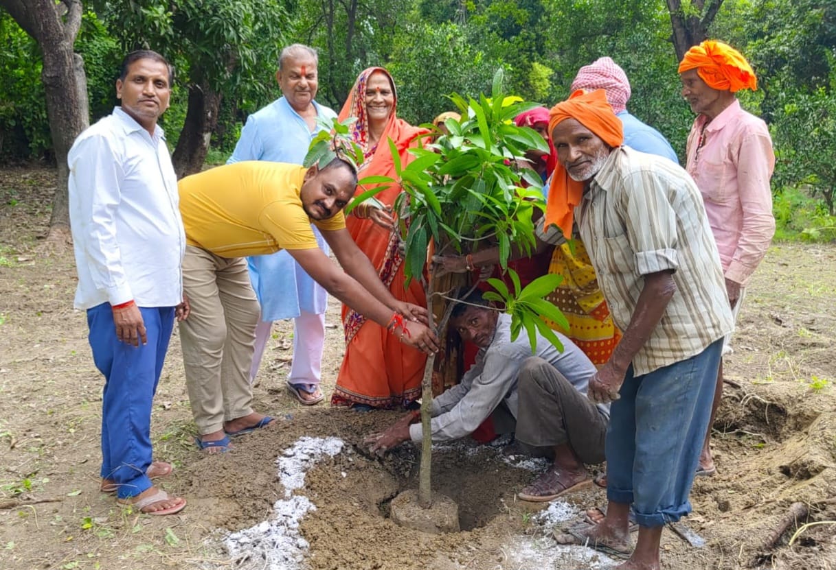 Tree plantation will have to be done for environmental balance: Nandkishore Tiwari