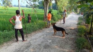 Villagers drive away mad jackal with sticks in Rampur Tikra, old woman injured by jackal attack
