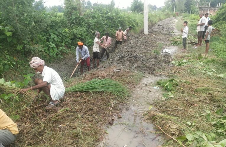 दुधारू गाय बन रही मनरेगा, फर्जी हाजिरी लगा कर हो रहा सरकारी धन का बन्दर बांट