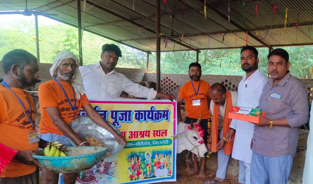 Mother cow worshiped in cow shelters