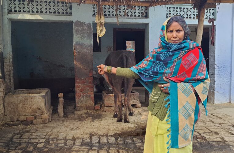 शिवगढ़ थाना क्षेत्र में नहीं थम रहा चोरों का आतंक ग्रामीणों में दहशत